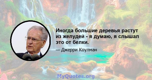 Иногда большие деревья растут из желудей - я думаю, я слышал это от белки.