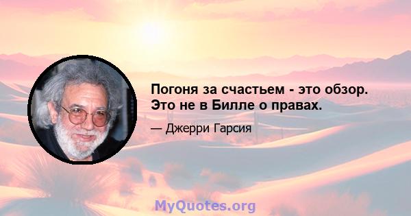 Погоня за счастьем - это обзор. Это не в Билле о правах.