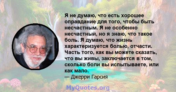 Я не думаю, что есть хорошее оправдание для того, чтобы быть несчастным. Я не особенно несчастный, но я знаю, что такое боль. Я думаю, что жизнь характеризуется болью, отчасти. Часть того, как вы можете сказать, что вы