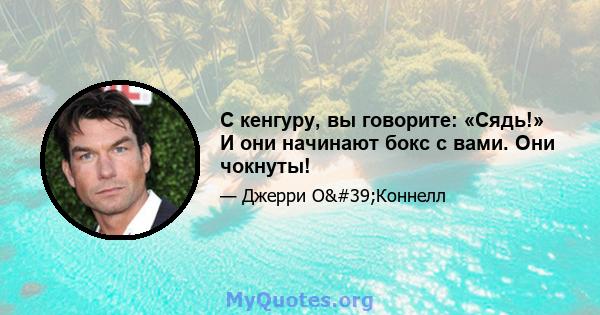 С кенгуру, вы говорите: «Сядь!» И они начинают бокс с вами. Они чокнуты!