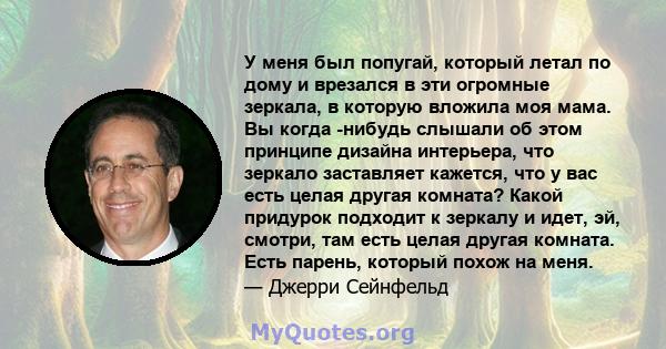 У меня был попугай, который летал по дому и врезался в эти огромные зеркала, в которую вложила моя мама. Вы когда -нибудь слышали об этом принципе дизайна интерьера, что зеркало заставляет кажется, что у вас есть целая