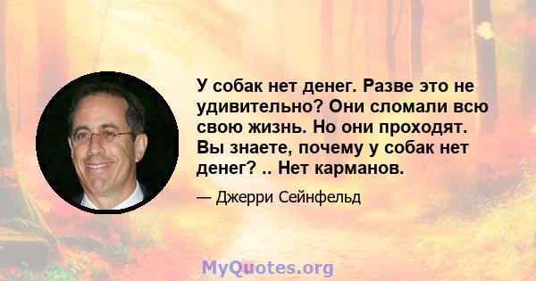 У собак нет денег. Разве это не удивительно? Они сломали всю свою жизнь. Но они проходят. Вы знаете, почему у собак нет денег? .. Нет карманов.