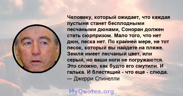 Человеку, который ожидает, что каждая пустыня станет бесплодными песчаными дюнами, Соноран должен стать сюрпризом. Мало того, что нет дюн, песка нет. По крайней мере, не тот песок, который вы найдете на пляже. Земля