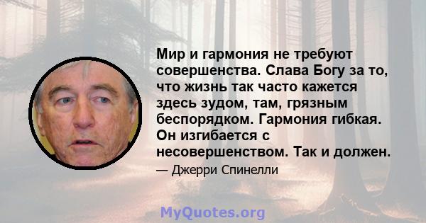 Мир и гармония не требуют совершенства. Слава Богу за то, что жизнь так часто кажется здесь зудом, там, грязным беспорядком. Гармония гибкая. Он изгибается с несовершенством. Так и должен.