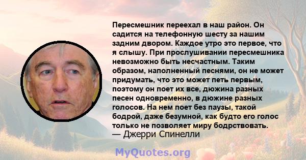 Пересмешник переехал в наш район. Он садится на телефонную шесту за нашим задним двором. Каждое утро это первое, что я слышу. При прослушивании пересмешника невозможно быть несчастным. Таким образом, наполненный