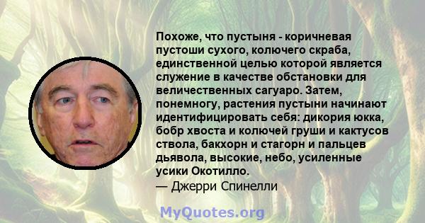 Похоже, что пустыня - коричневая пустоши сухого, колючего скраба, единственной целью которой является служение в качестве обстановки для величественных сагуаро. Затем, понемногу, растения пустыни начинают