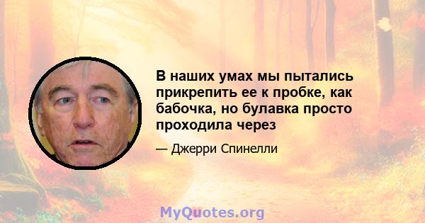 В наших умах мы пытались прикрепить ее к пробке, как бабочка, но булавка просто проходила через