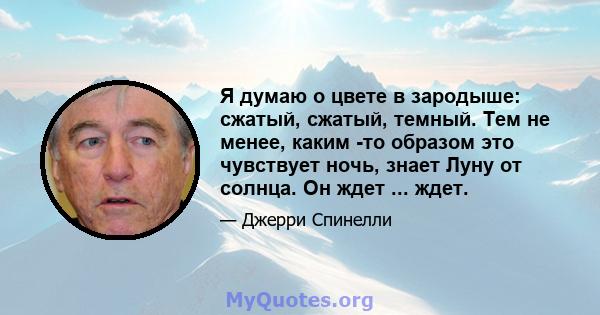 Я думаю о цвете в зародыше: сжатый, сжатый, темный. Тем не менее, каким -то образом это чувствует ночь, знает Луну от солнца. Он ждет ... ждет.