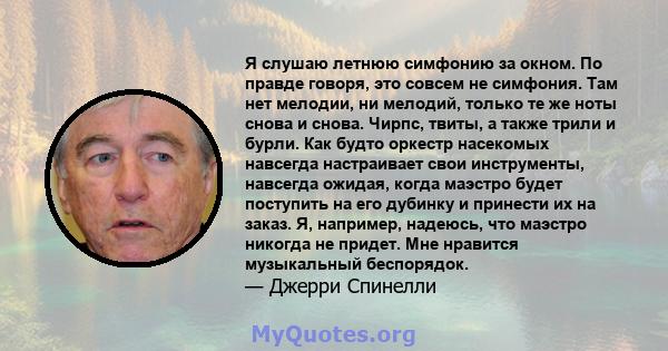 Я слушаю летнюю симфонию за окном. По правде говоря, это совсем не симфония. Там нет мелодии, ни мелодий, только те же ноты снова и снова. Чирпс, твиты, а также трили и бурли. Как будто оркестр насекомых навсегда