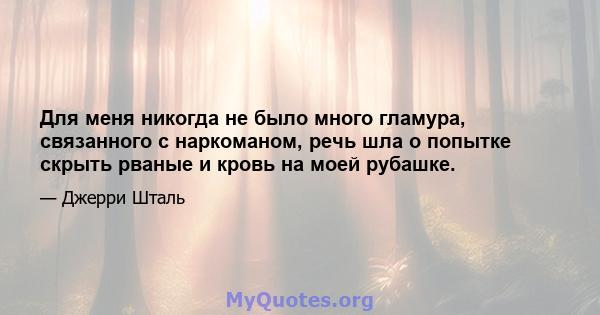 Для меня никогда не было много гламура, связанного с наркоманом, речь шла о попытке скрыть рваные и кровь на моей рубашке.