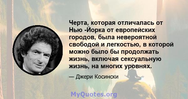 Черта, которая отличалась от Нью -Йорка от европейских городов, была невероятной свободой и легкостью, в которой можно было бы продолжать жизнь, включая сексуальную жизнь, на многих уровнях.