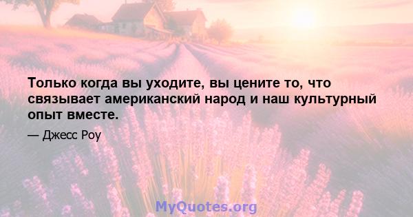 Только когда вы уходите, вы цените то, что связывает американский народ и наш культурный опыт вместе.