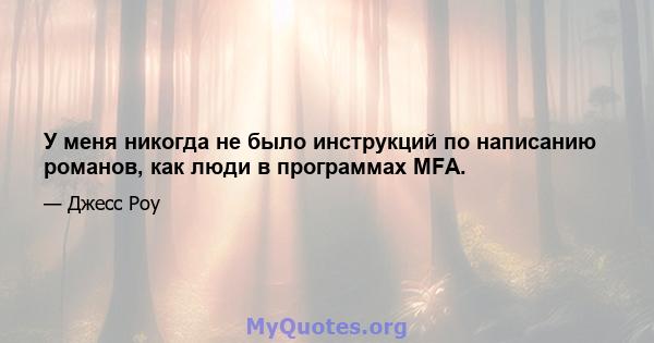 У меня никогда не было инструкций по написанию романов, как люди в программах MFA.