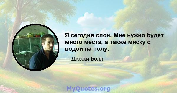 Я сегодня слон. Мне нужно будет много места, а также миску с водой на полу.