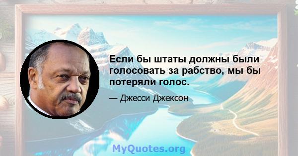 Если бы штаты должны были голосовать за рабство, мы бы потеряли голос.