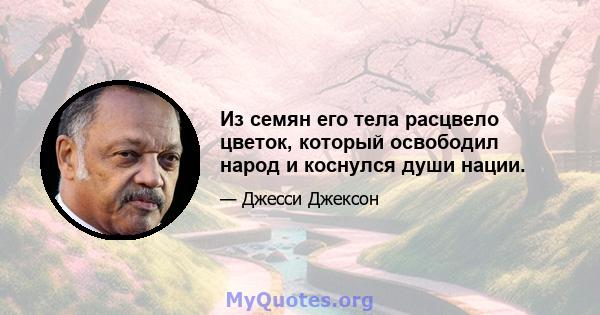 Из семян его тела расцвело цветок, который освободил народ и коснулся души нации.