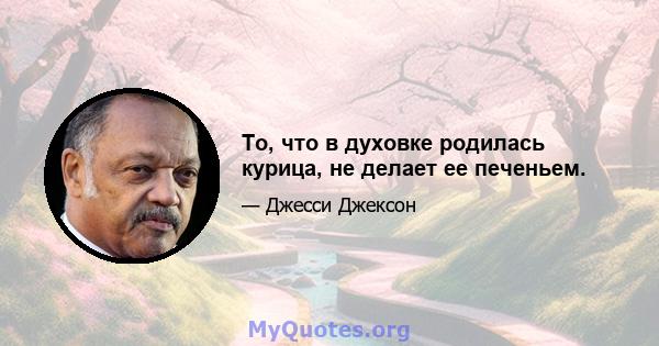 То, что в духовке родилась курица, не делает ее печеньем.