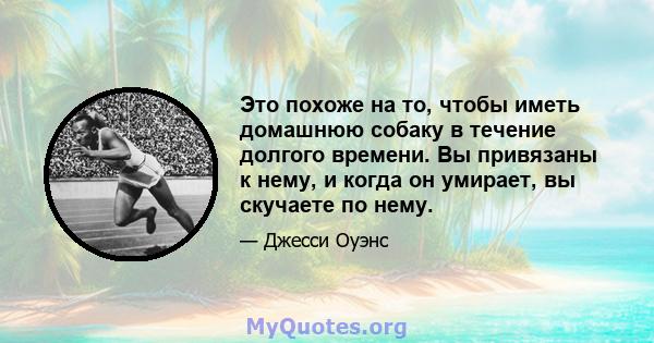 Это похоже на то, чтобы иметь домашнюю собаку в течение долгого времени. Вы привязаны к нему, и когда он умирает, вы скучаете по нему.