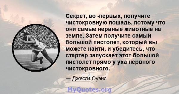 Секрет, во -первых, получите чистокровную лошадь, потому что они самые нервные животные на земле. Затем получите самый большой пистолет, который вы можете найти, и убедитесь, что стартер запускает этот большой пистолет