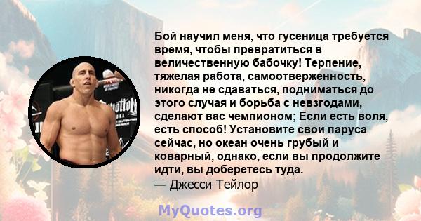 Бой научил меня, что гусеница требуется время, чтобы превратиться в величественную бабочку! Терпение, тяжелая работа, самоотверженность, никогда не сдаваться, подниматься до этого случая и борьба с невзгодами, сделают