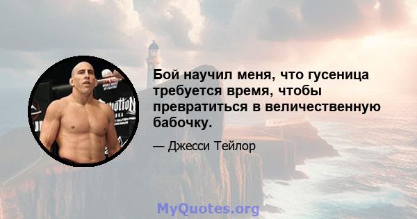 Бой научил меня, что гусеница требуется время, чтобы превратиться в величественную бабочку.