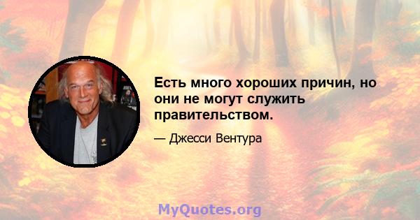 Есть много хороших причин, но они не могут служить правительством.