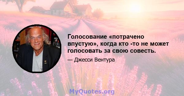 Голосование «потрачено впустую», когда кто -то не может голосовать за свою совесть.