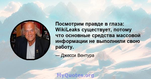 Посмотрим правде в глаза: WikiLeaks существует, потому что основные средства массовой информации не выполнили свою работу.