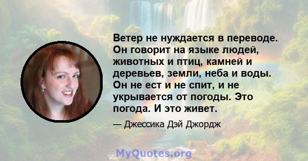 Ветер не нуждается в переводе. Он говорит на языке людей, животных и птиц, камней и деревьев, земли, неба и воды. Он не ест и не спит, и не укрывается от погоды. Это погода. И это живет.