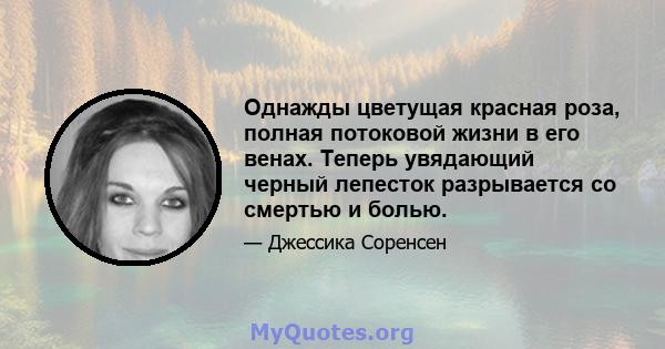 Однажды цветущая красная роза, полная потоковой жизни в его венах. Теперь увядающий черный лепесток разрывается со смертью и болью.