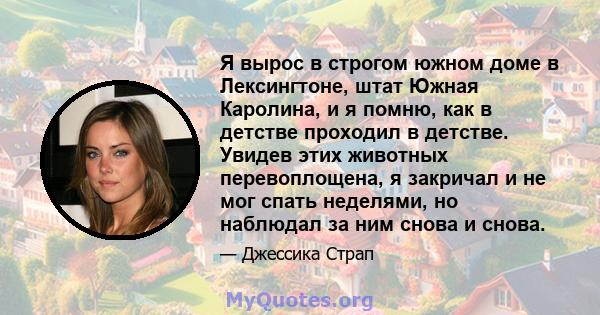 Я вырос в строгом южном доме в Лексингтоне, штат Южная Каролина, и я помню, как в детстве проходил в детстве. Увидев этих животных перевоплощена, я закричал и не мог спать неделями, но наблюдал за ним снова и снова.