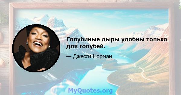 Голубиные дыры удобны только для голубей.