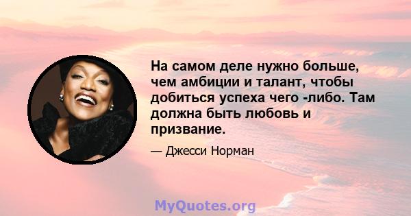 На самом деле нужно больше, чем амбиции и талант, чтобы добиться успеха чего -либо. Там должна быть любовь и призвание.