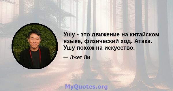 Ушу - это движение на китайском языке, физический ход. Атака. Ушу похож на искусство.