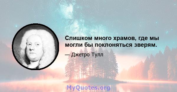 Слишком много храмов, где мы могли бы поклоняться зверям.