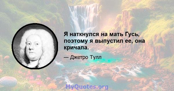 Я наткнулся на мать Гусь, поэтому я выпустил ее, она кричала.