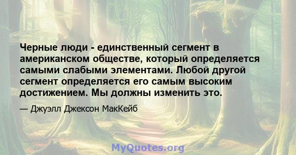 Черные люди - единственный сегмент в американском обществе, который определяется самыми слабыми элементами. Любой другой сегмент определяется его самым высоким достижением. Мы должны изменить это.