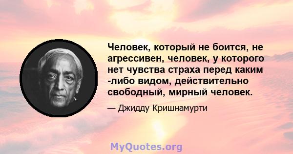 Человек, который не боится, не агрессивен, человек, у которого нет чувства страха перед каким -либо видом, действительно свободный, мирный человек.