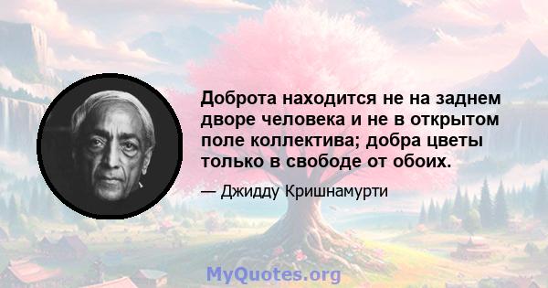 Доброта находится не на заднем дворе человека и не в открытом поле коллектива; добра цветы только в свободе от обоих.