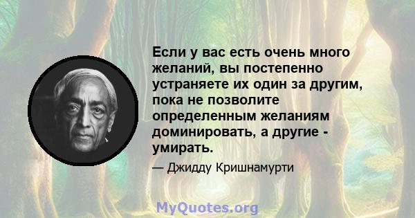 Если у вас есть очень много желаний, вы постепенно устраняете их один за другим, пока не позволите определенным желаниям доминировать, а другие - умирать.