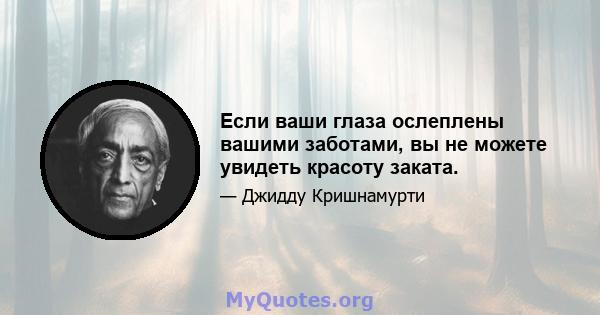 Если ваши глаза ослеплены вашими заботами, вы не можете увидеть красоту заката.