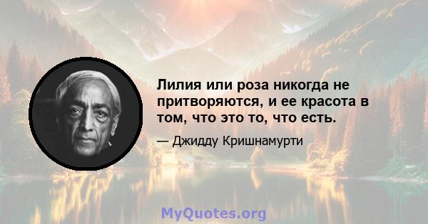 Лилия или роза никогда не притворяются, и ее красота в том, что это то, что есть.