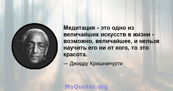 Медитация - это одно из величайших искусств в жизни - возможно, величайшее, и нельзя научить его ни от кого, то это красота.