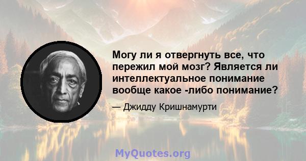 Могу ли я отвергнуть все, что пережил мой мозг? Является ли интеллектуальное понимание вообще какое -либо понимание?