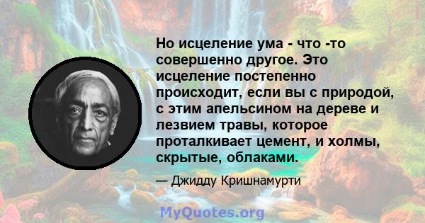 Но исцеление ума - что -то совершенно другое. Это исцеление постепенно происходит, если вы с природой, с этим апельсином на дереве и лезвием травы, которое проталкивает цемент, и холмы, скрытые, облаками.