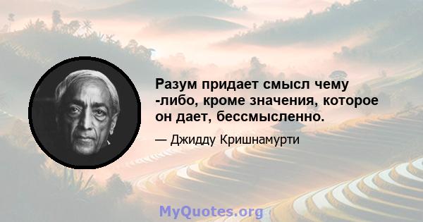 Разум придает смысл чему -либо, кроме значения, которое он дает, бессмысленно.