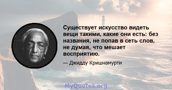 Существует искусство видеть вещи такими, какие они есть: без названия, не попав в сеть слов, не думая, что мешает восприятию.