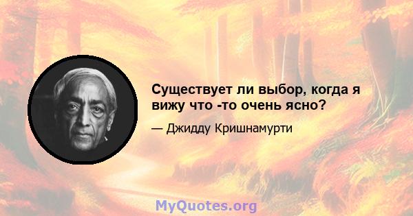 Существует ли выбор, когда я вижу что -то очень ясно?