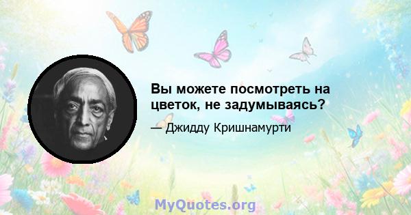 Вы можете посмотреть на цветок, не задумываясь?