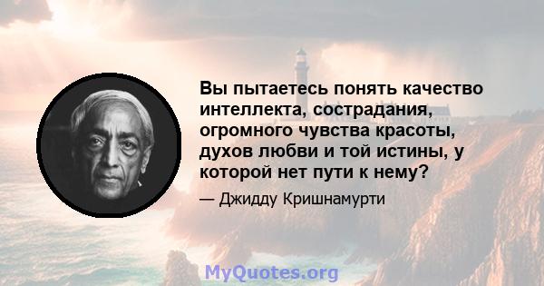 Вы пытаетесь понять качество интеллекта, сострадания, огромного чувства красоты, духов любви и той истины, у которой нет пути к нему?